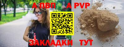 индика Можга