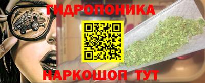 индика Можга
