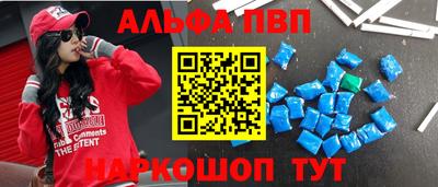 индика Можга