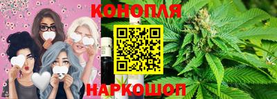 индика Можга