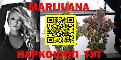 индика Можга