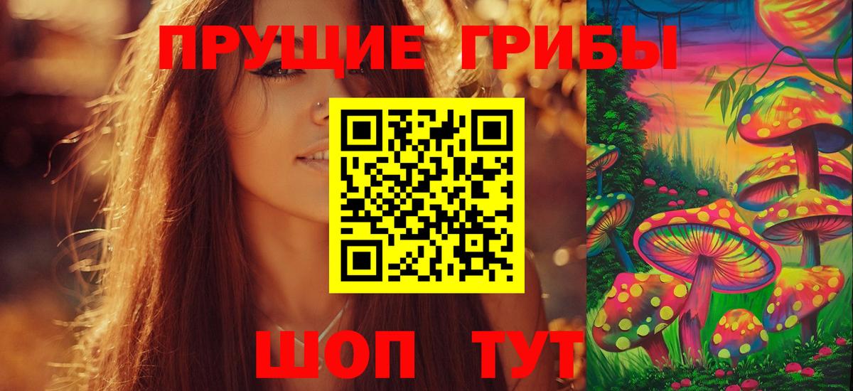 Урюпинск  Галлюциногенные грибы Psilocybine cubensis  Вход с VPN 